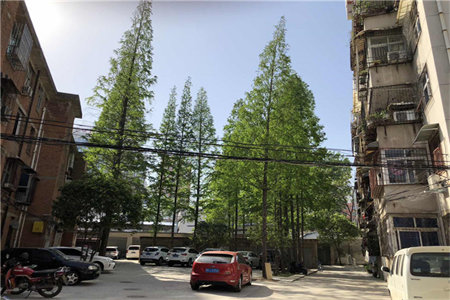 送车库金屋小区北区3室2厅2卫109万125m2出售